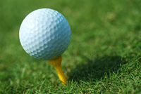 Environment freindly turf products.