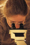 Scientifically selected organisms and strict quality control.