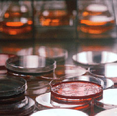 Science based sustainable agriculture products.